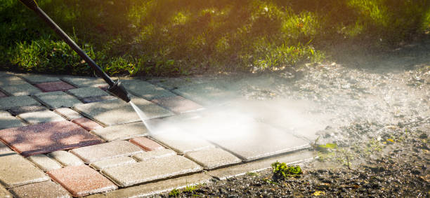 Best Sidewalk and Walkway Cleaning  in Walsenburg, CO